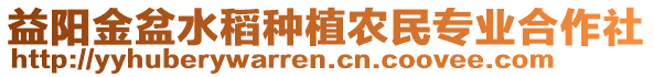 益陽金盆水稻種植農民專業(yè)合作社