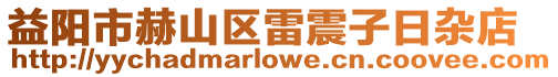 益陽市赫山區(qū)雷震子日雜店
