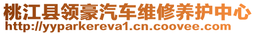 桃江縣領(lǐng)豪汽車維修養(yǎng)護(hù)中心