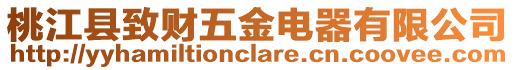 桃江縣致財五金電器有限公司