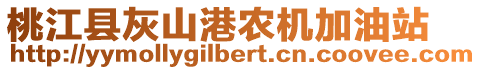 桃江縣灰山港農(nóng)機加油站