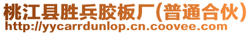 桃江縣勝兵膠板廠(普通合伙)