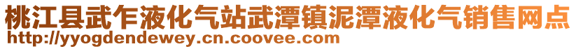 桃江縣武乍液化氣站武潭鎮(zhèn)泥潭液化氣銷售網(wǎng)點