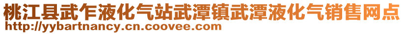 桃江縣武乍液化氣站武潭鎮(zhèn)武潭液化氣銷售網(wǎng)點(diǎn)