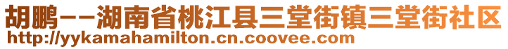 胡鵬--湖南省桃江縣三堂街鎮(zhèn)三堂街社區(qū)