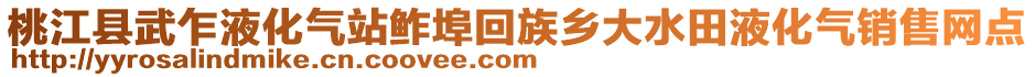 桃江縣武乍液化氣站鲊埠回族鄉(xiāng)大水田液化氣銷售網點