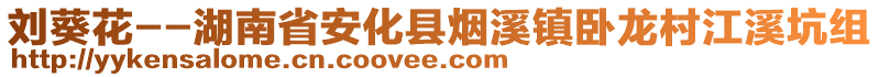 劉葵花--湖南省安化縣煙溪鎮(zhèn)臥龍村江溪坑組