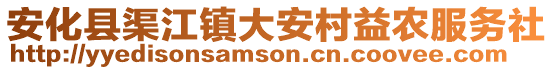 安化縣渠江鎮(zhèn)大安村益農(nóng)服務(wù)社