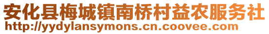 安化县梅城镇南桥村益农服务社