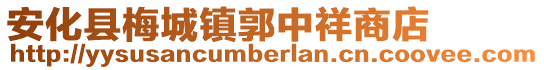 安化县梅城镇郭中祥商店