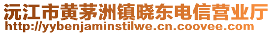 沅江市黃茅洲鎮(zhèn)曉東電信營業(yè)廳