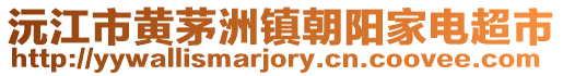 沅江市黃茅洲鎮(zhèn)朝陽家電超市