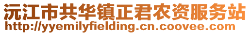 沅江市共华镇正君农资服务站