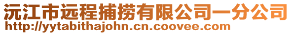 沅江市远程捕捞有限公司一分公司