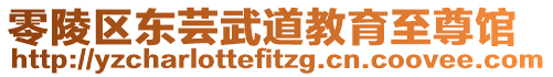 零陵區(qū)東蕓武道教育至尊館