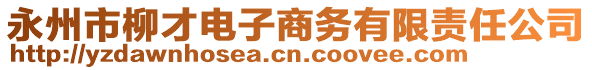 永州市柳才電子商務(wù)有限責(zé)任公司