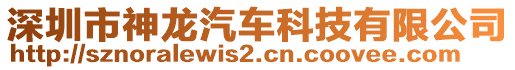 深圳市神龍汽車科技有限公司