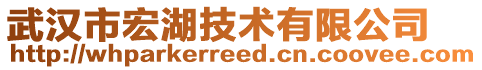 武漢市宏湖技術有限公司