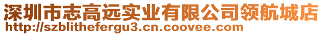 深圳市志高遠(yuǎn)實(shí)業(yè)有限公司領(lǐng)航城店