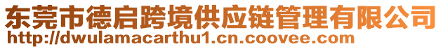 東莞市德啟跨境供應(yīng)鏈管理有限公司