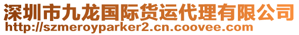 深圳市九龍國際貨運(yùn)代理有限公司