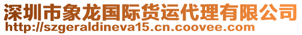 深圳市象龍國(guó)際貨運(yùn)代理有限公司