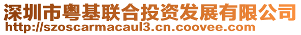 深圳市粵基聯(lián)合投資發(fā)展有限公司