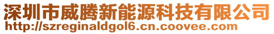 深圳市威騰新能源科技有限公司