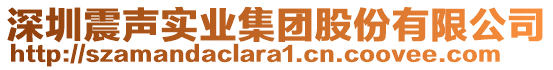 深圳震聲實業(yè)集團股份有限公司