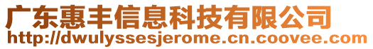 廣東惠豐信息科技有限公司