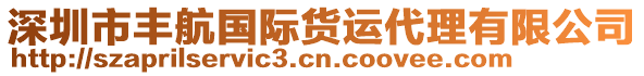 深圳市豐航國際貨運(yùn)代理有限公司