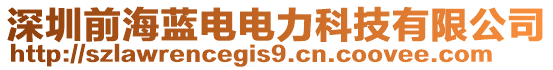 深圳前海藍電電力科技有限公司