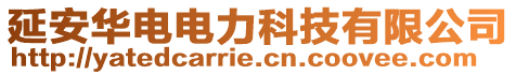 延安華電電力科技有限公司