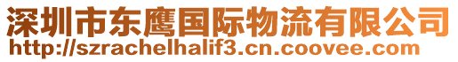 深圳市東鷹國際物流有限公司