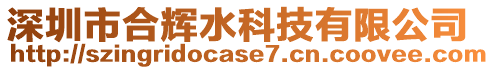 深圳市合輝水科技有限公司