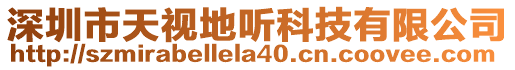 深圳市天視地聽(tīng)科技有限公司