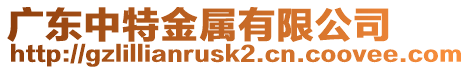 廣東中特金屬有限公司