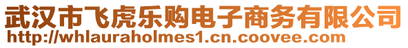 武漢市飛虎樂(lè)購(gòu)電子商務(wù)有限公司