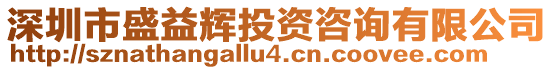 深圳市盛益輝投資咨詢有限公司