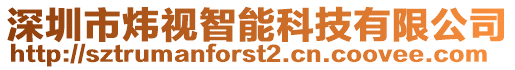 深圳市煒視智能科技有限公司