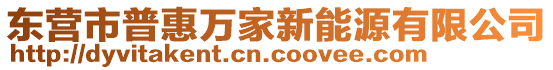 東營市普惠萬家新能源有限公司