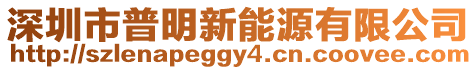 深圳市普明新能源有限公司