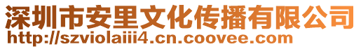 深圳市安里文化傳播有限公司