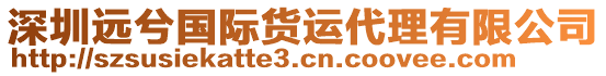 深圳遠(yuǎn)兮國(guó)際貨運(yùn)代理有限公司