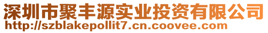 深圳市聚豐源實業(yè)投資有限公司