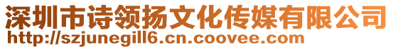 深圳市詩領(lǐng)揚(yáng)文化傳媒有限公司