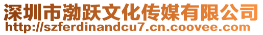 深圳市渤躍文化傳媒有限公司