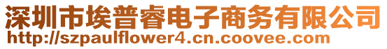 深圳市埃普睿電子商務(wù)有限公司