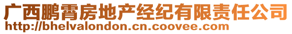 廣西鵬霄房地產(chǎn)經(jīng)紀(jì)有限責(zé)任公司