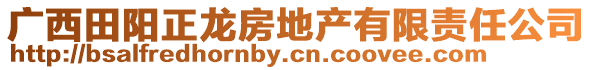 廣西田陽正龍房地產(chǎn)有限責(zé)任公司